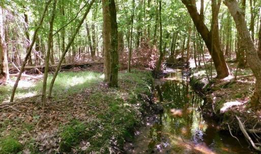Photo of UNDER CONTRACT!  26.7 Acres of Hunting and Timber Land For Sale in Jones County NC!