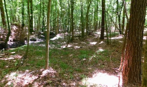 Photo of UNDER CONTRACT!  26.7 Acres of Hunting and Timber Land For Sale in Jones County NC!
