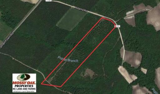 Photo of UNDER CONTRACT!  26.7 Acres of Hunting and Timber Land For Sale in Jones County NC!