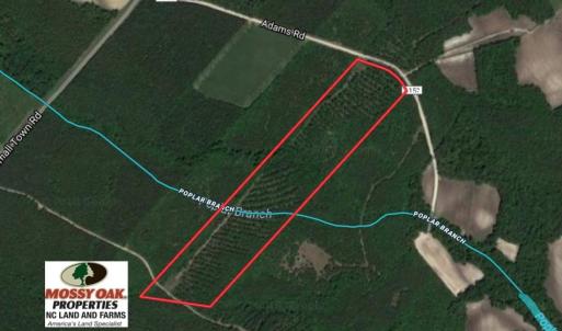 Photo of UNDER CONTRACT!  26.7 Acres of Hunting and Timber Land For Sale in Jones County NC!
