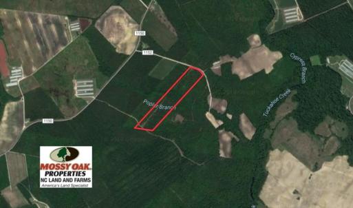Photo of UNDER CONTRACT!  26.7 Acres of Hunting and Timber Land For Sale in Jones County NC!