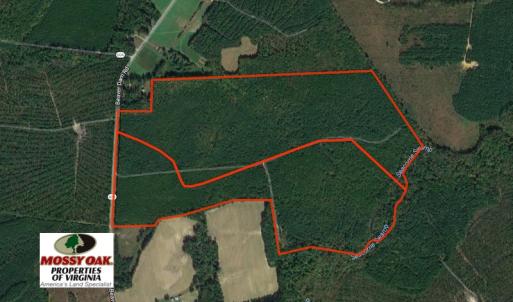 Photo of UNDER CONTRACT!  196 Acres of Hunting Land for Sale in Sussex County VA!