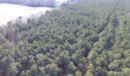 Photo of UNDER CONTRACT!  196 Acres of Hunting Land for Sale in Sussex County VA!