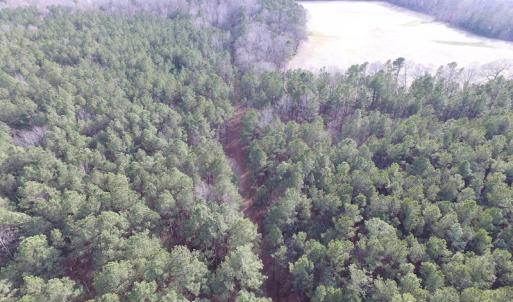 Photo of UNDER CONTRACT!  196 Acres of Hunting Land for Sale in Sussex County VA!