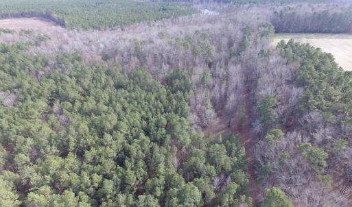 Photo of UNDER CONTRACT!  196 Acres of Hunting Land for Sale in Sussex County VA!