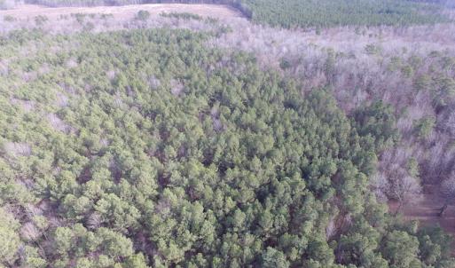 Photo of UNDER CONTRACT!  196 Acres of Hunting Land for Sale in Sussex County VA!