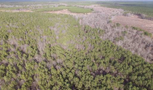 Photo of UNDER CONTRACT!  196 Acres of Hunting Land for Sale in Sussex County VA!