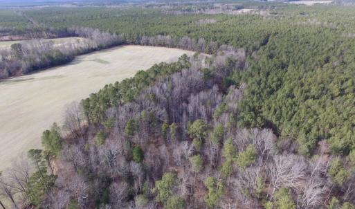 Photo of UNDER CONTRACT!  196 Acres of Hunting Land for Sale in Sussex County VA!