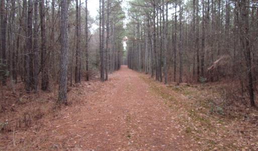 Photo of UNDER CONTRACT!  196 Acres of Hunting Land for Sale in Sussex County VA!