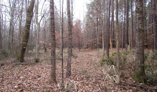 Photo of UNDER CONTRACT!  196 Acres of Hunting Land for Sale in Sussex County VA!