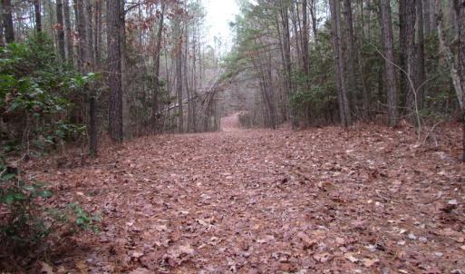 Photo of UNDER CONTRACT!  196 Acres of Hunting Land for Sale in Sussex County VA!