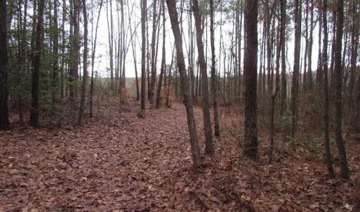 Photo of UNDER CONTRACT!  196 Acres of Hunting Land for Sale in Sussex County VA!