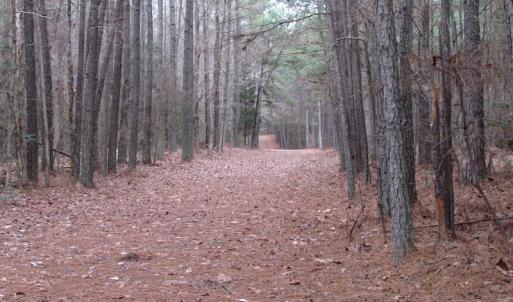 Photo of UNDER CONTRACT!  196 Acres of Hunting Land for Sale in Sussex County VA!