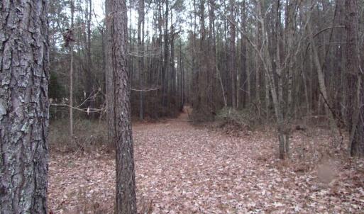 Photo of UNDER CONTRACT!  196 Acres of Hunting Land for Sale in Sussex County VA!