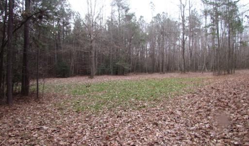 Photo of UNDER CONTRACT!  196 Acres of Hunting Land for Sale in Sussex County VA!