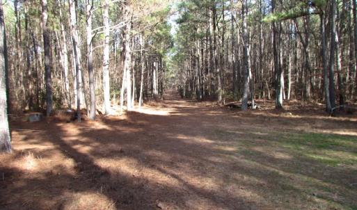 Photo of UNDER CONTRACT!  196 Acres of Hunting Land for Sale in Sussex County VA!