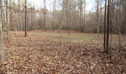 Photo of UNDER CONTRACT!  196 Acres of Hunting Land for Sale in Sussex County VA!