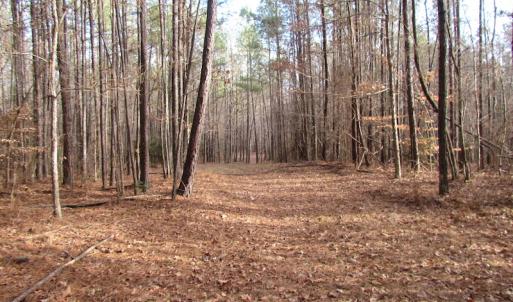 Photo of UNDER CONTRACT!  196 Acres of Hunting Land for Sale in Sussex County VA!