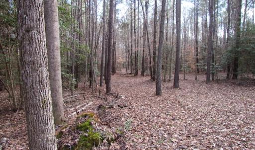 Photo of UNDER CONTRACT!  196 Acres of Hunting Land for Sale in Sussex County VA!