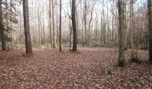 Photo of UNDER CONTRACT!  196 Acres of Hunting Land for Sale in Sussex County VA!