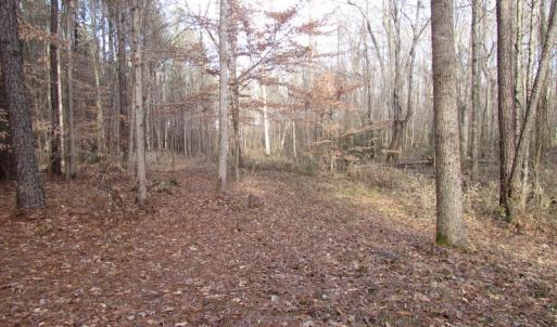 Photo of UNDER CONTRACT!  196 Acres of Hunting Land for Sale in Sussex County VA!