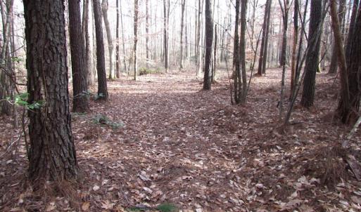 Photo of UNDER CONTRACT!  196 Acres of Hunting Land for Sale in Sussex County VA!