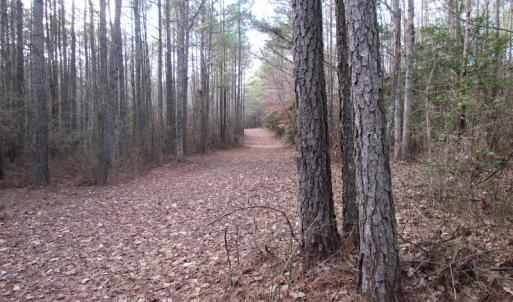 Photo of UNDER CONTRACT!  196 Acres of Hunting Land for Sale in Sussex County VA!