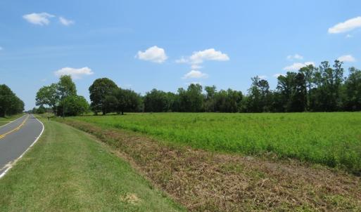 Photo of UNDER CONTRACT!  26 Acres of Farm and Timber Land with Home Site For Sale in Bladen County NC!