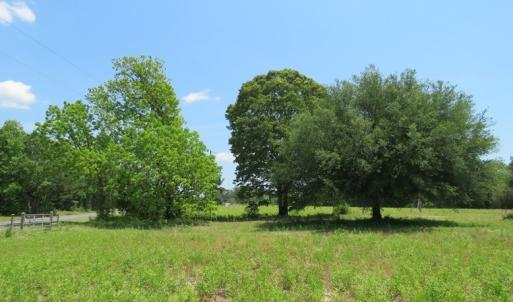 Photo of UNDER CONTRACT!  26 Acres of Farm and Timber Land with Home Site For Sale in Bladen County NC!