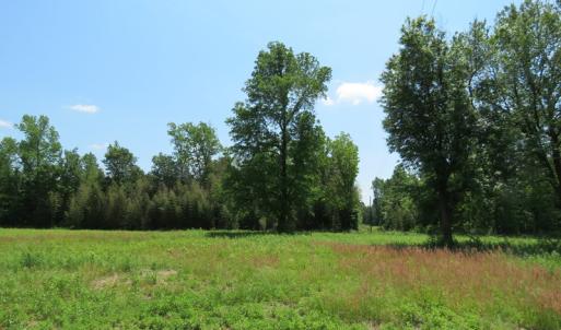 Photo of UNDER CONTRACT!  26 Acres of Farm and Timber Land with Home Site For Sale in Bladen County NC!