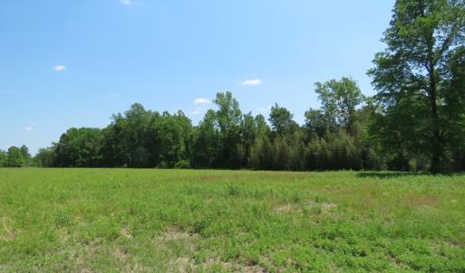 Photo of UNDER CONTRACT!  26 Acres of Farm and Timber Land with Home Site For Sale in Bladen County NC!