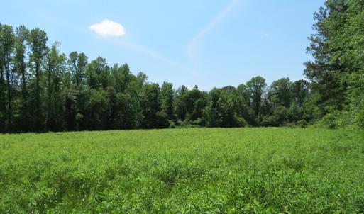 Photo of UNDER CONTRACT!  26 Acres of Farm and Timber Land with Home Site For Sale in Bladen County NC!