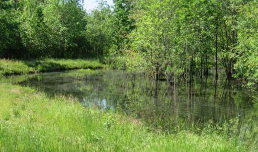 Photo of UNDER CONTRACT!  190 Acres of Residential Farm and Timber Land for Sale in Columbus County NC!