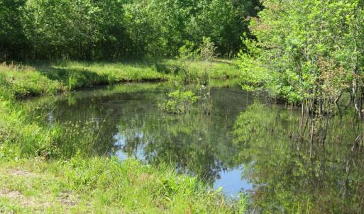 Photo of UNDER CONTRACT!  190 Acres of Residential Farm and Timber Land for Sale in Columbus County NC!