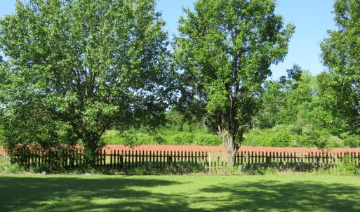 Photo of UNDER CONTRACT!  190 Acres of Residential Farm and Timber Land for Sale in Columbus County NC!