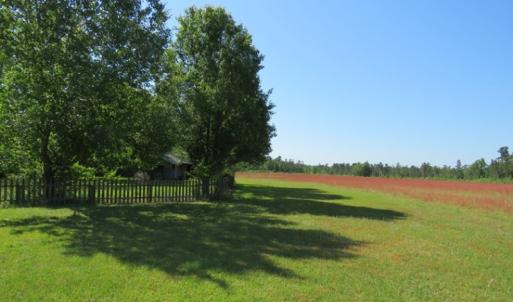 Photo of UNDER CONTRACT!  190 Acres of Residential Farm and Timber Land for Sale in Columbus County NC!