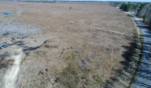 Photo of UNDER CONTRACT!  219 Acres of Timber Land For Sale In Halifax County NC!