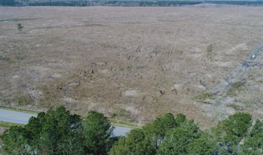 Photo of UNDER CONTRACT!  219 Acres of Timber Land For Sale In Halifax County NC!