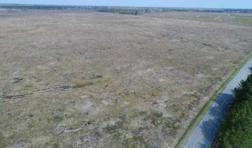 Photo of UNDER CONTRACT!  219 Acres of Timber Land For Sale In Halifax County NC!