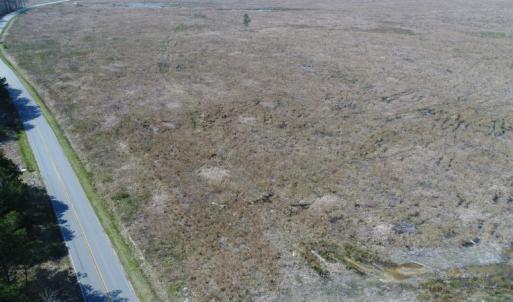 Photo of UNDER CONTRACT!  219 Acres of Timber Land For Sale In Halifax County NC!