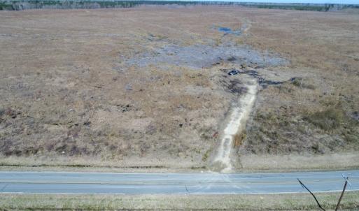 Photo of UNDER CONTRACT!  219 Acres of Timber Land For Sale In Halifax County NC!