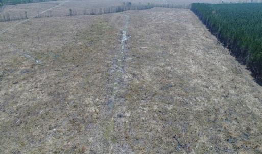 Photo of UNDER CONTRACT!  219 Acres of Timber Land For Sale In Halifax County NC!