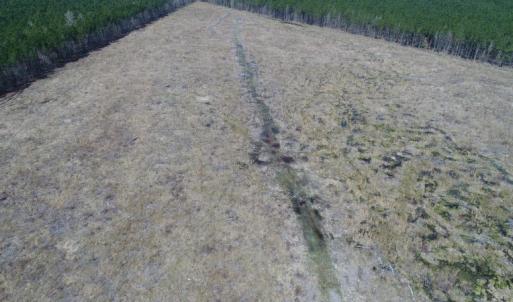 Photo of UNDER CONTRACT!  219 Acres of Timber Land For Sale In Halifax County NC!