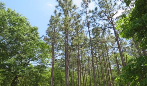 Photo of UNDER CONTRACT!  1.33 Acres with Home For Sale in Sampson County NC!