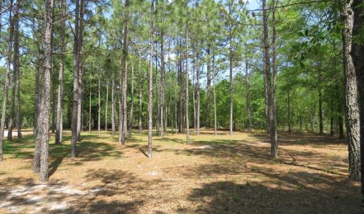 Photo of UNDER CONTRACT!  1.33 Acres with Home For Sale in Sampson County NC!