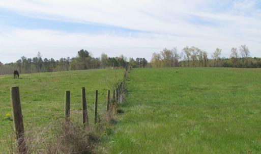 Photo of UNDER CONTRACT!  127 Acres of Residential Equestrian Land For Sale in Spotsylvania County VA!