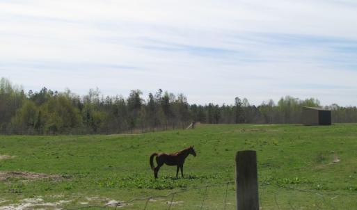 Photo of UNDER CONTRACT!  127 Acres of Residential Equestrian Land For Sale in Spotsylvania County VA!