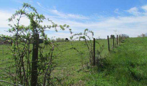 Photo of UNDER CONTRACT!  127 Acres of Residential Equestrian Land For Sale in Spotsylvania County VA!