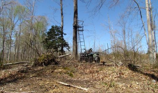 Photo of UNDER CONTRACT!  127 Acres of Residential Equestrian Land For Sale in Spotsylvania County VA!