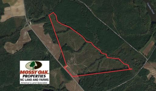 Photo of UNDER CONTRACT!  104.8 Acres of Hunting Land For Sale in Halifax County NC!